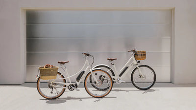 E-Bikes for Everyone: Join the Movement for Accessibility and Affordability